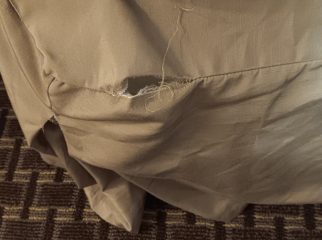 Best Western Plus Philadelphia Airport South At Widener University主图