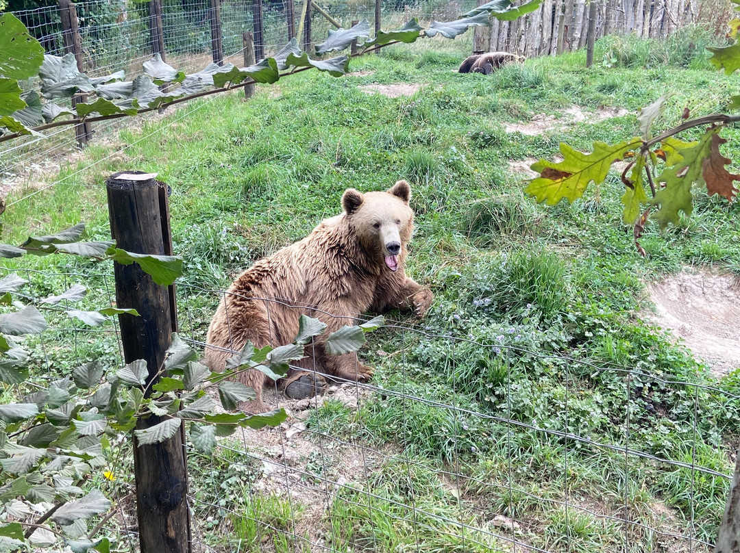 Zoo Cerza-Hermival-les-Vaux必去景点