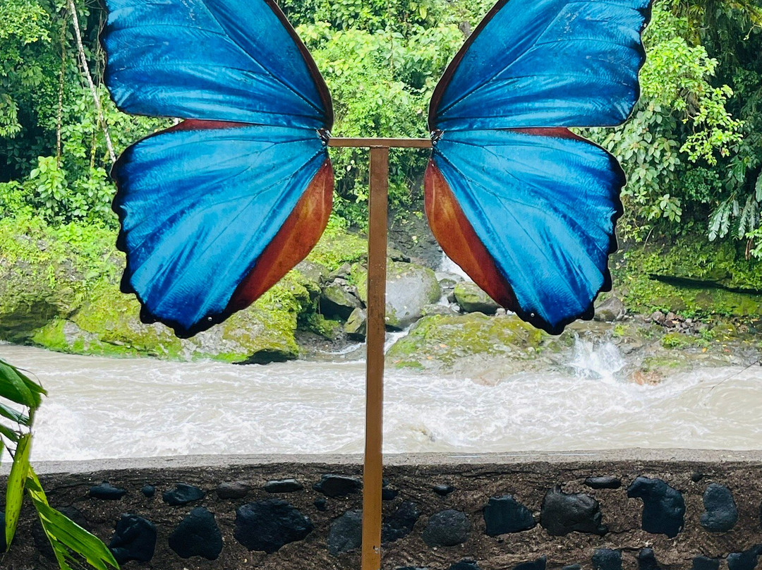 Recreo Verde Hotel Hot Springs and Spa-阿拉辉拉必去景点