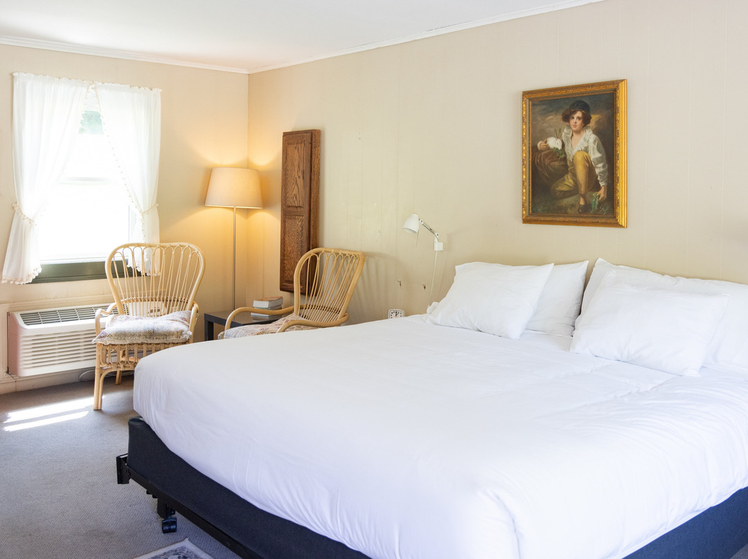 The Little Lion主图