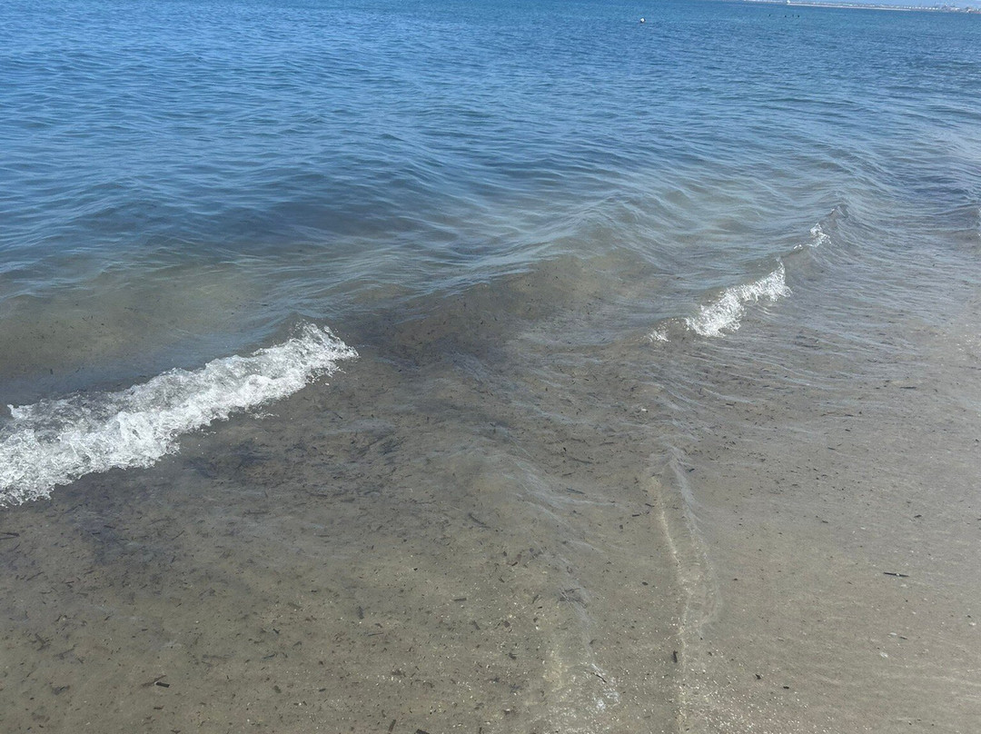 Spiaggia Ezzi Mannu-斯廷蒂诺必去景点