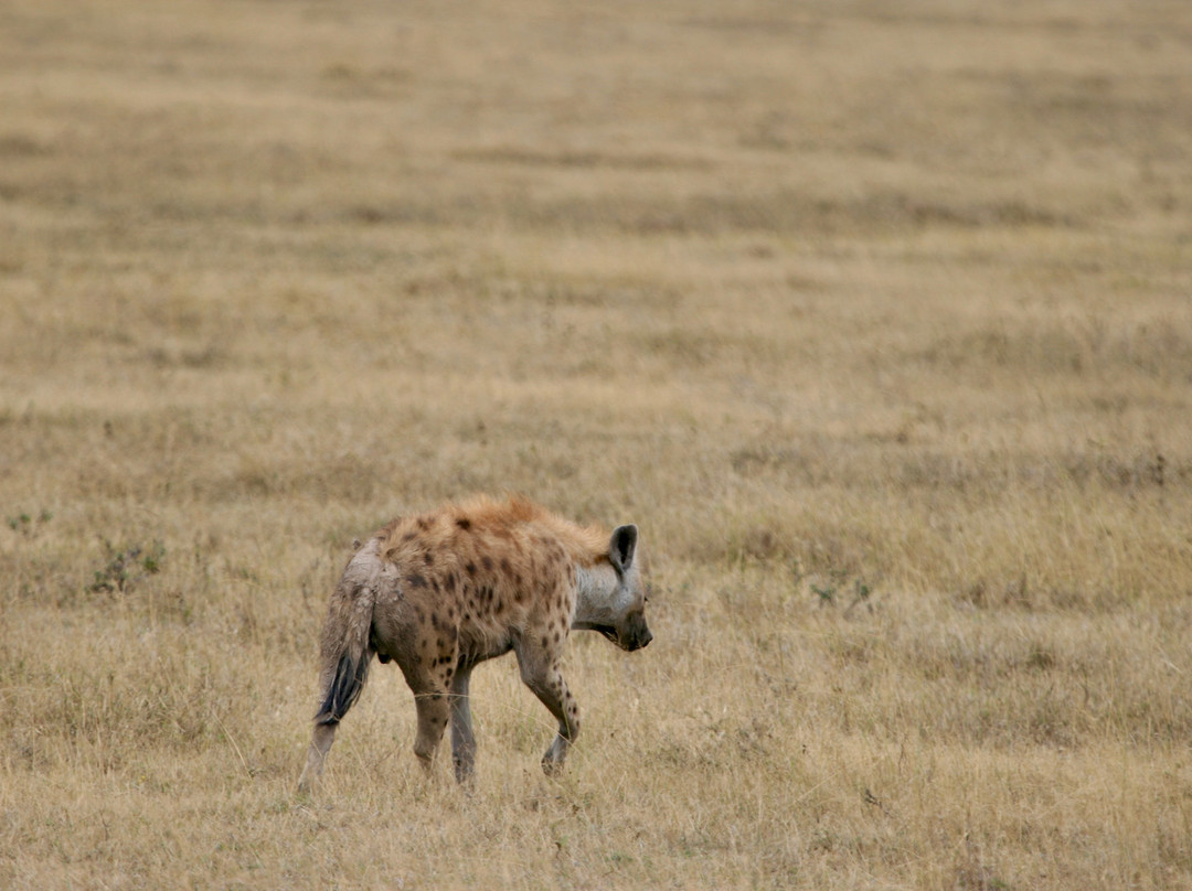 Mamnana Adventures-Olasiti必去景点