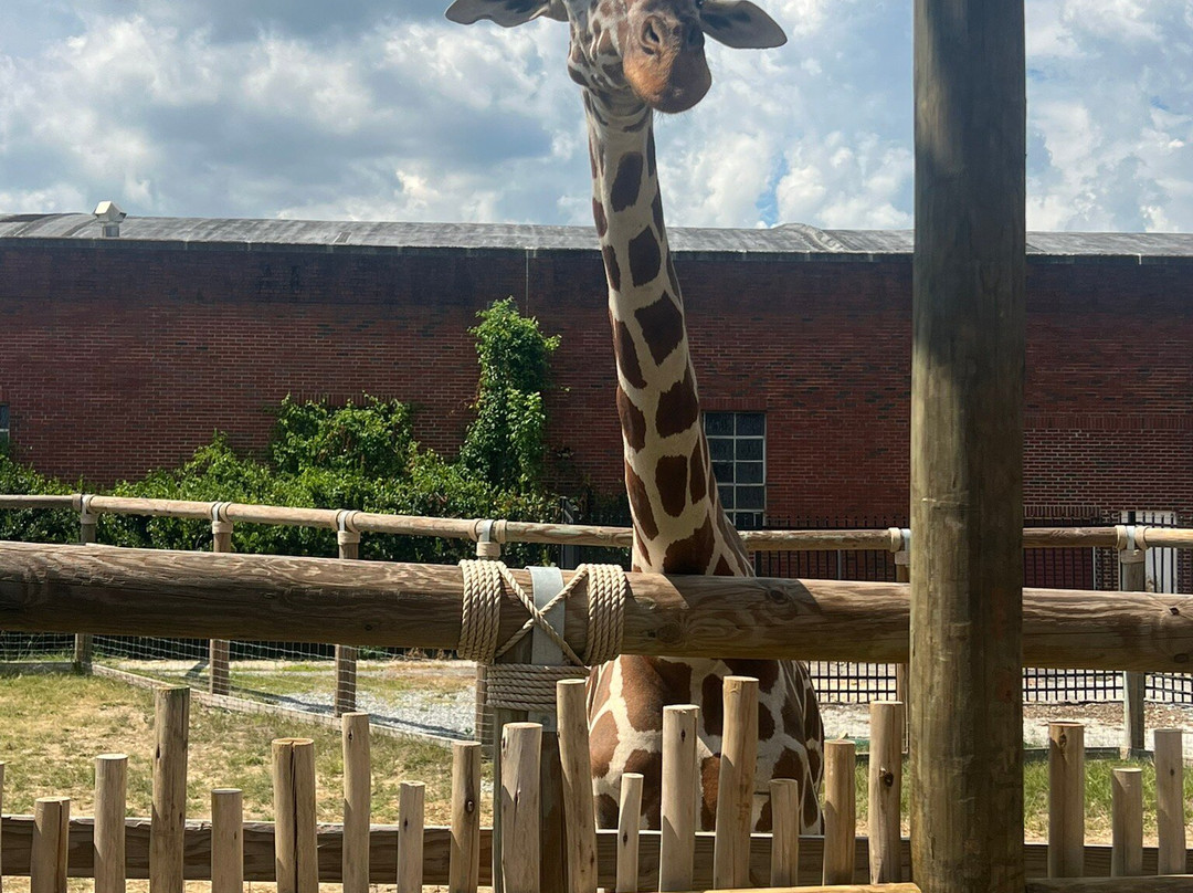 Chattanooga Zoo-查塔努加必去景点