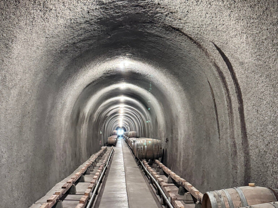 Gundlach Bundschu Winery-索诺玛必去景点