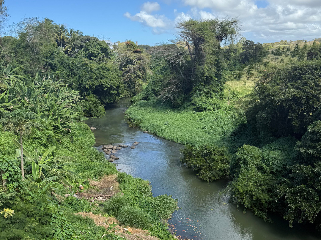 BlueXpedition-Pointe d'Esny必去景点