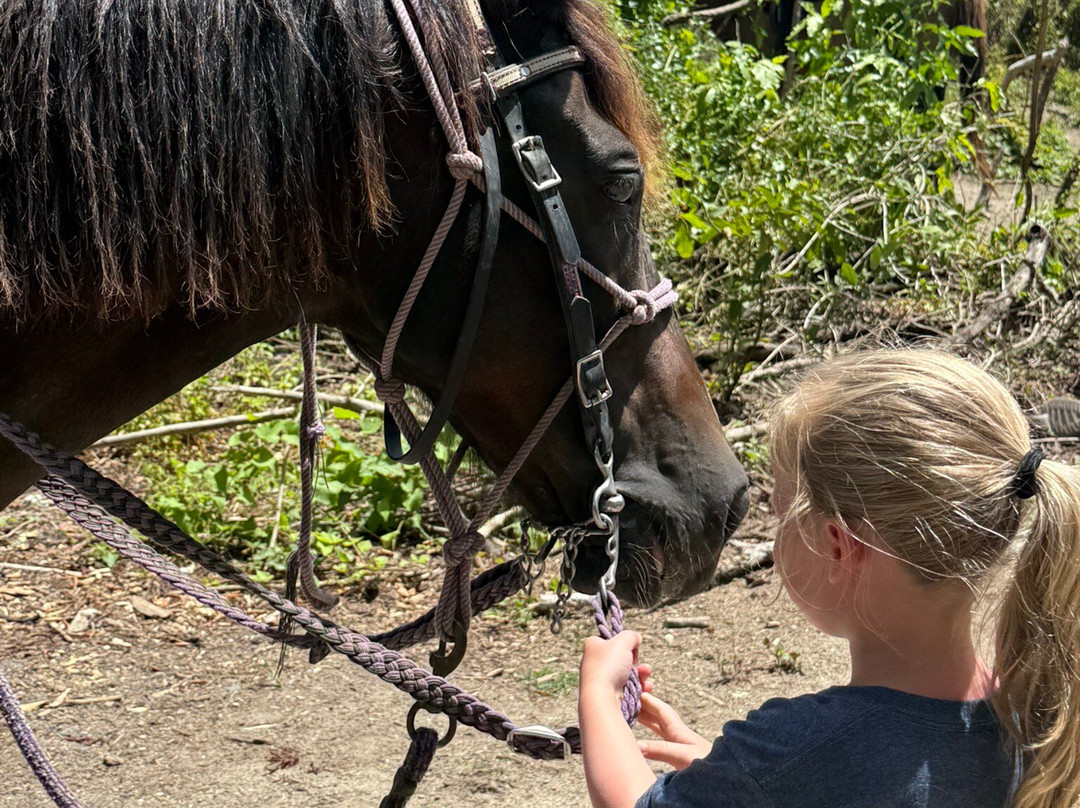 Cruzan Cowgirls-Frederiksted必去景点