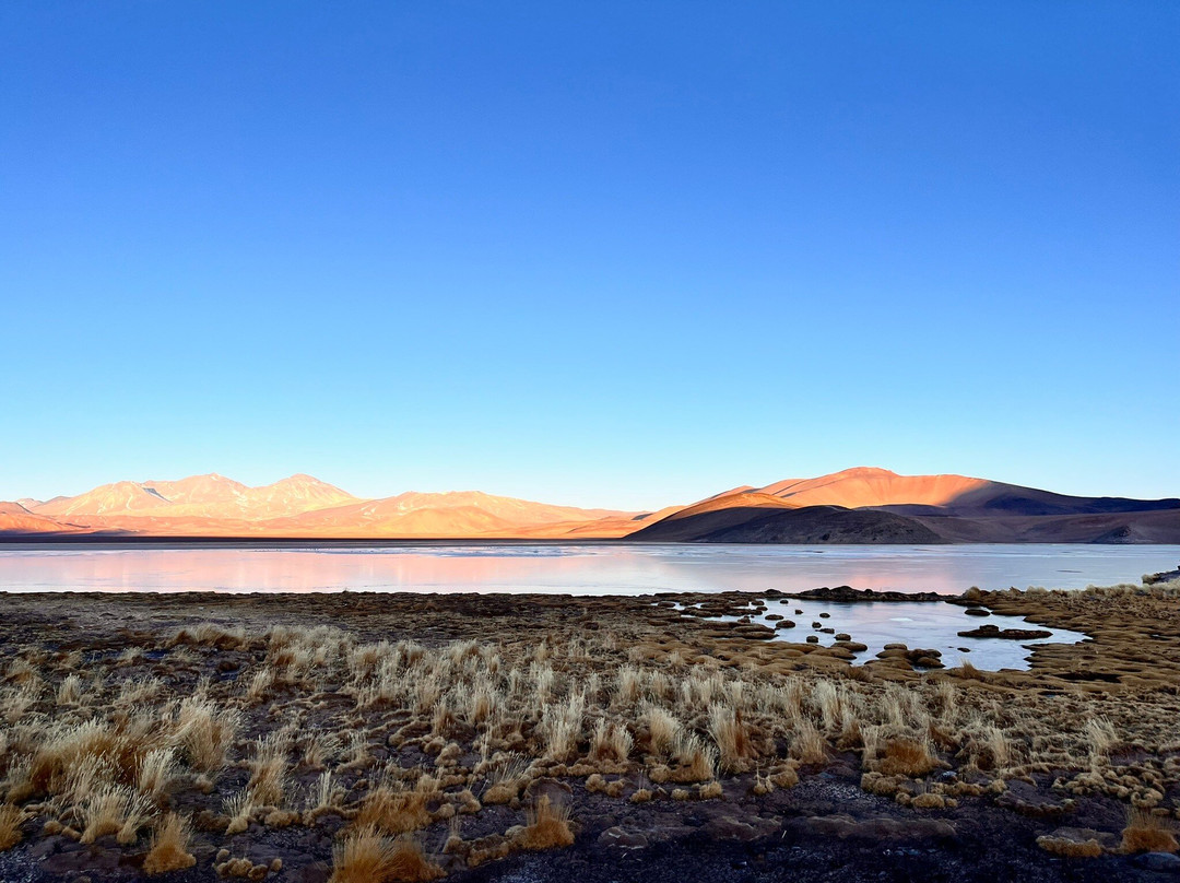 Parque Nacional Nevado Tres Cruces-Copiapo必去景点