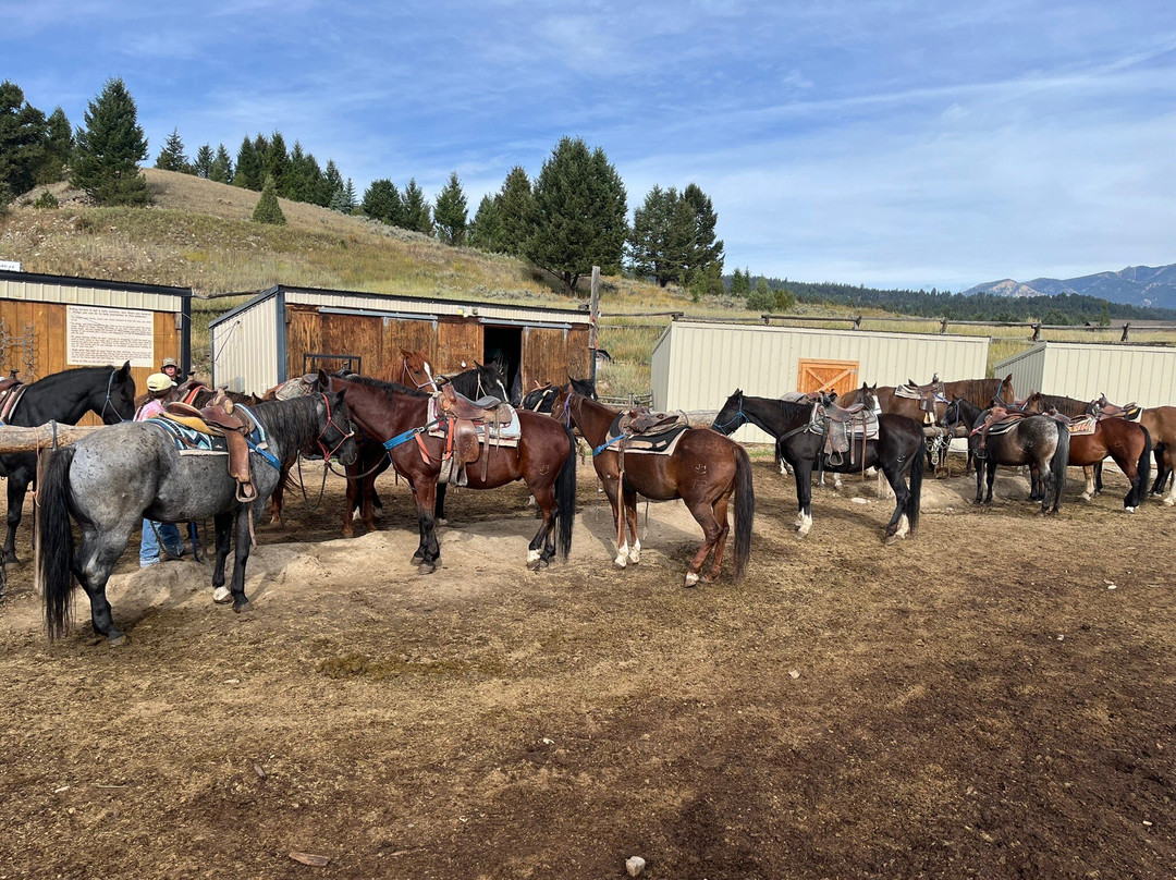 Jake's Horses-大斯凯必去景点