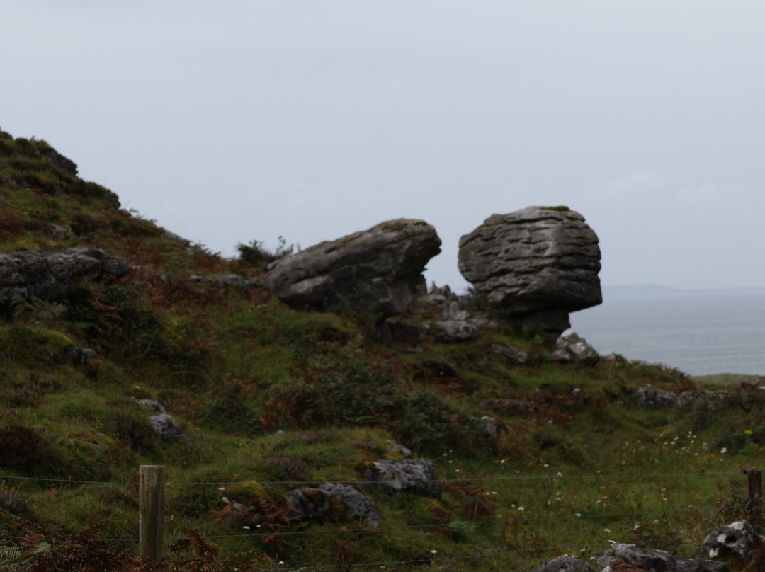 Burren Mountain Tours-Fanore必去景点