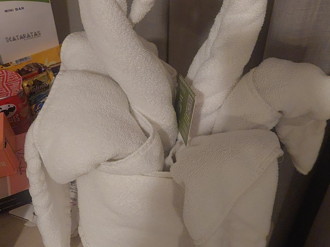 Complexo Eco Cataratas Resort主图