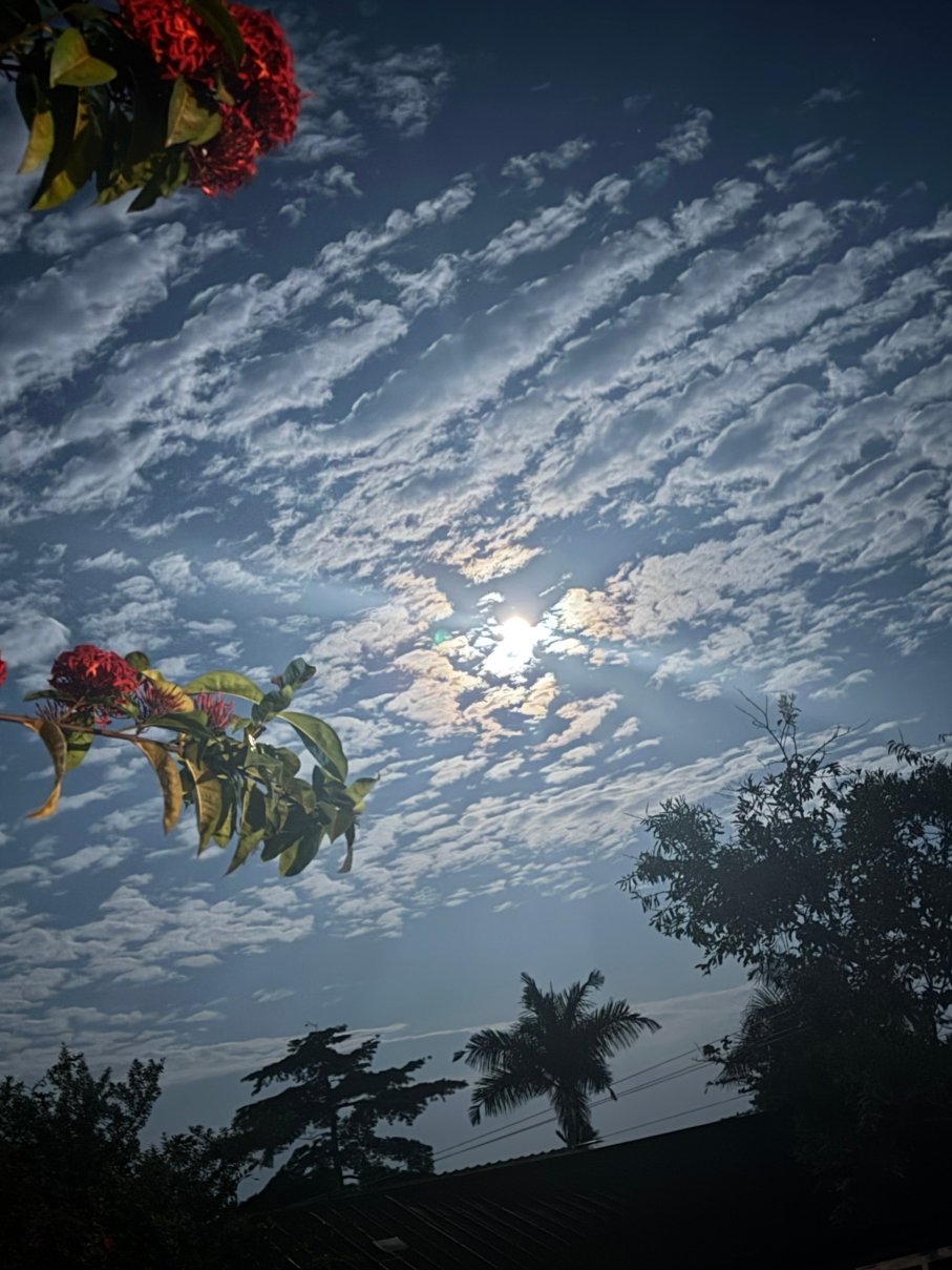 Surjio's Pizzeria & Guest House-官方