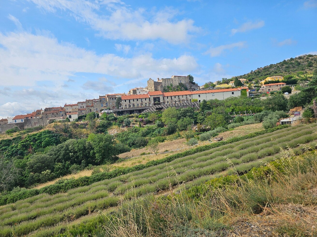 Hotel Domaine Riberach主图