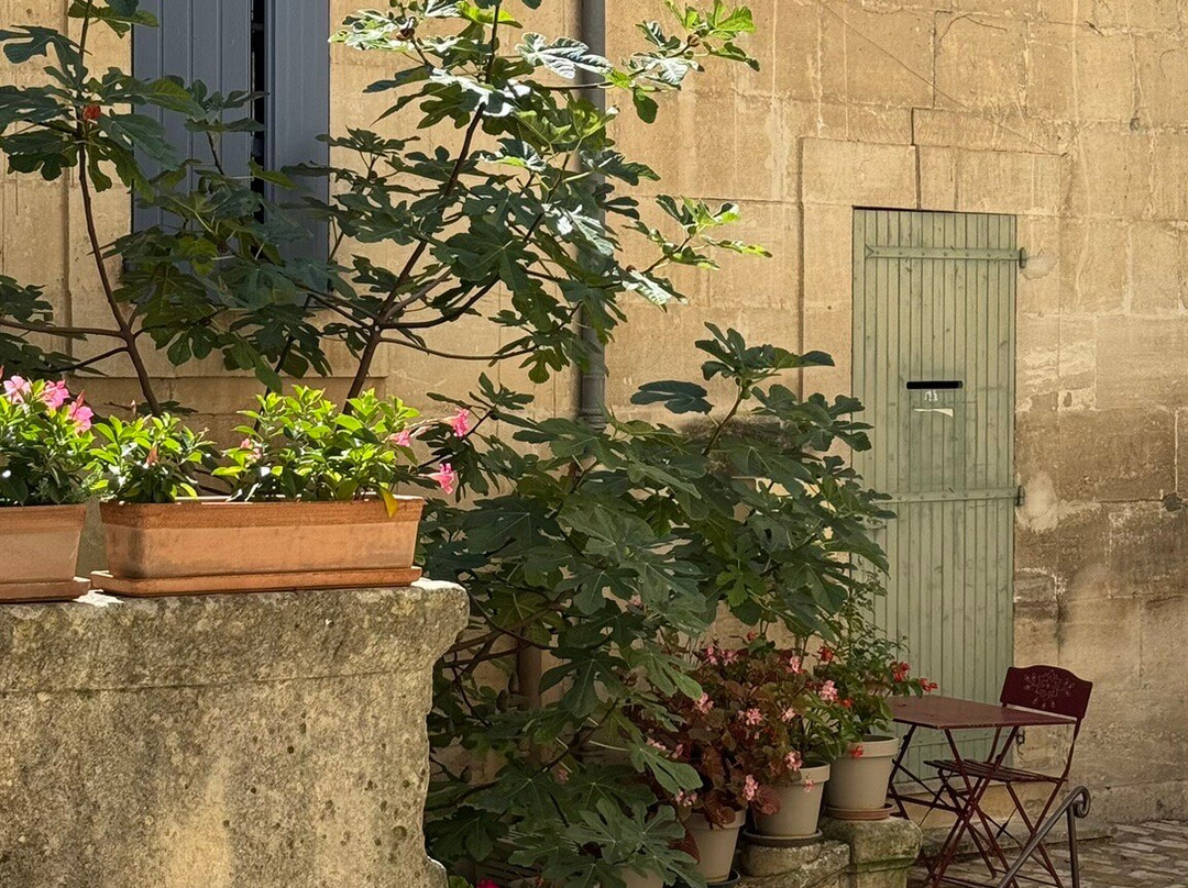 Vieux Village De Lacoste-Lacoste必去景点