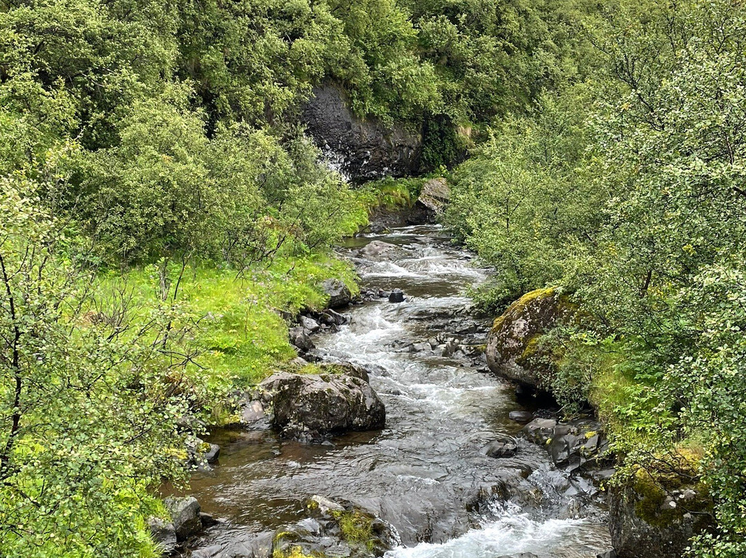 Svartifoss Waterfall-史卡法特必去景点