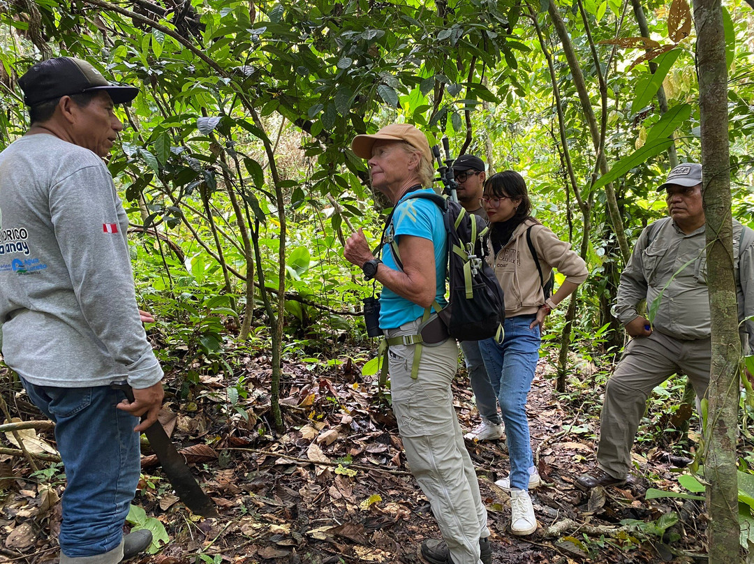 Ecoadventure Amazon-伊基托斯必去景点