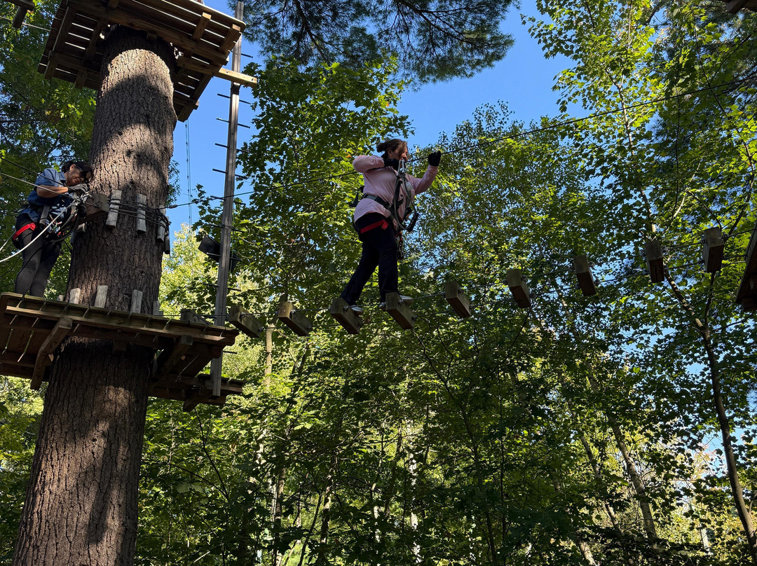 TreeTop Adventures Canton-Canton必去景点