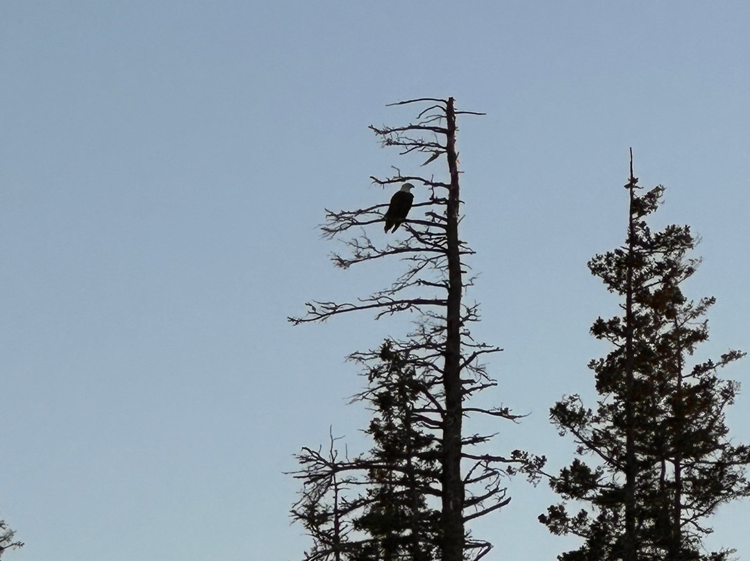 Osprey's Echo Sea Kayaking-Stonington必去景点