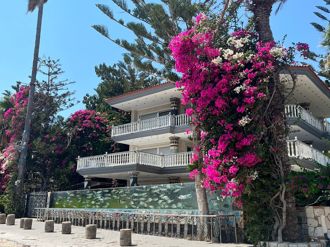 Duvar Akvaryumlu Ev-切什梅必去景点