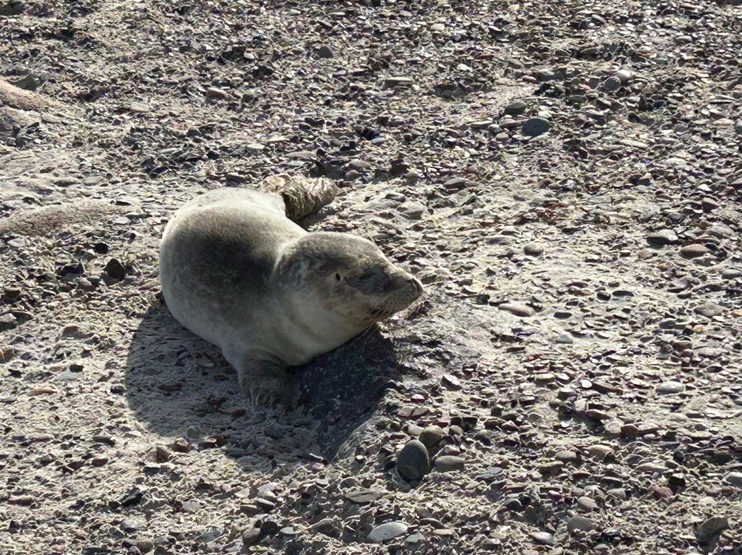 斯卡恩斯特兰德里酒店主图