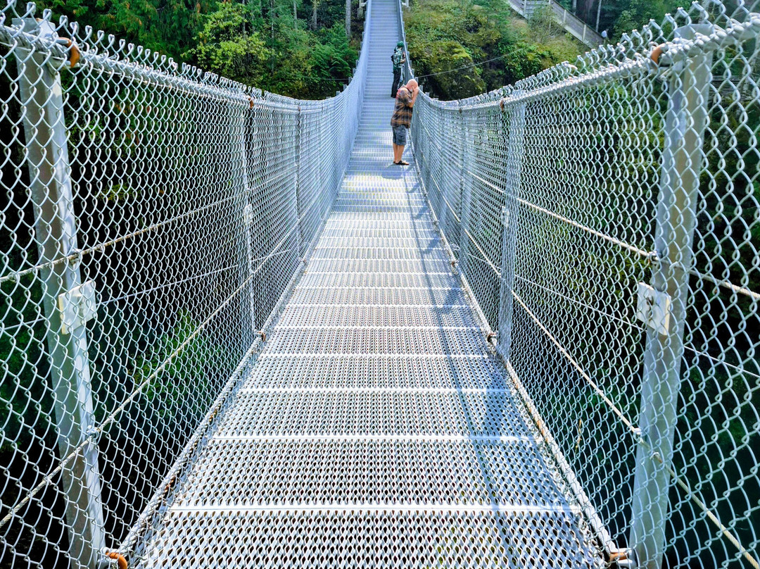 Elk Falls Suspension Bridge-坎贝尔里弗必去景点