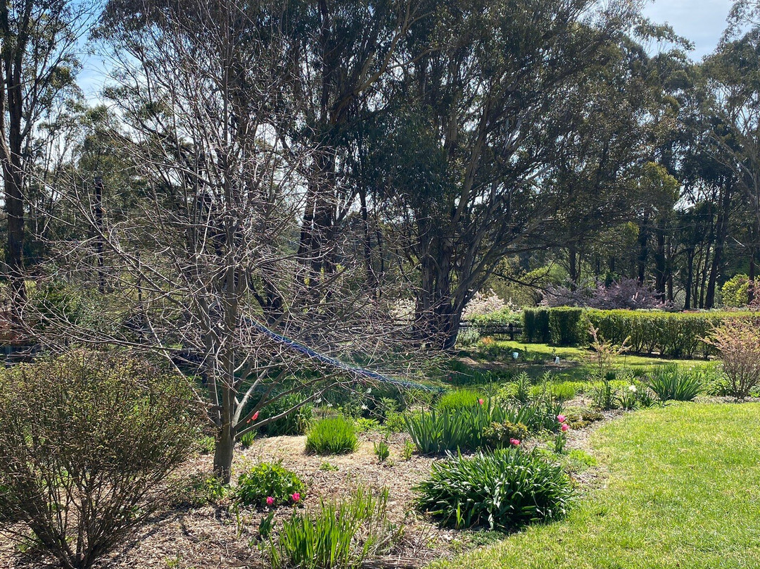 Wild Meadows Garden Little Hartley Nsw