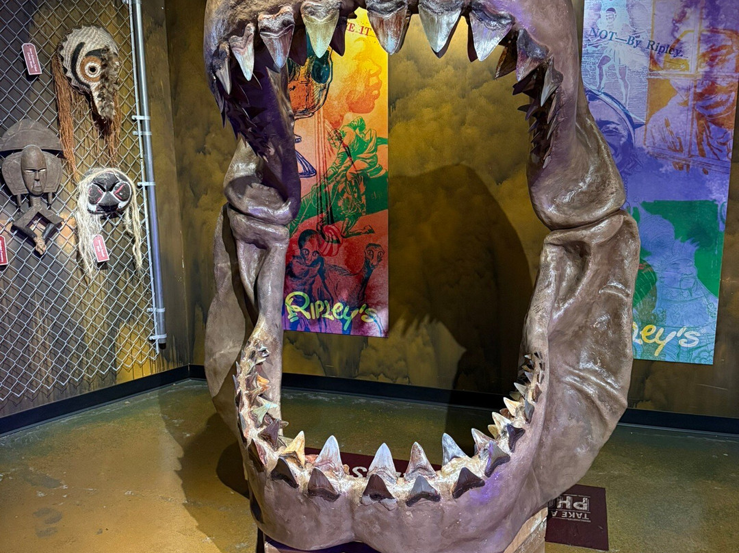 Ripley's Believe It or Not!-尼亚加拉大瀑布必去景点