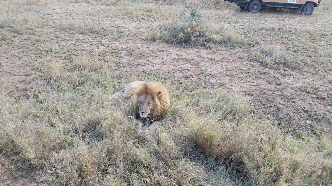 Witness Africa Safaris-Sakina必去景点