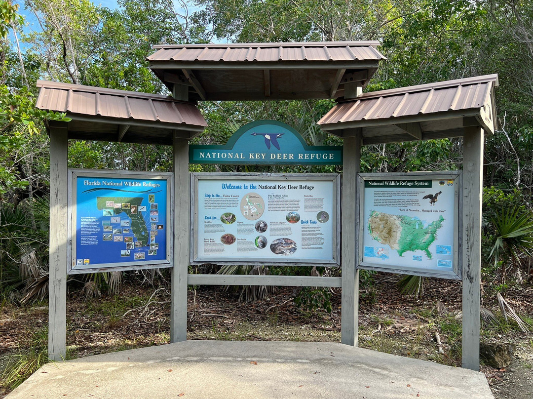 Blue Hole-Big Pine Key必去景点