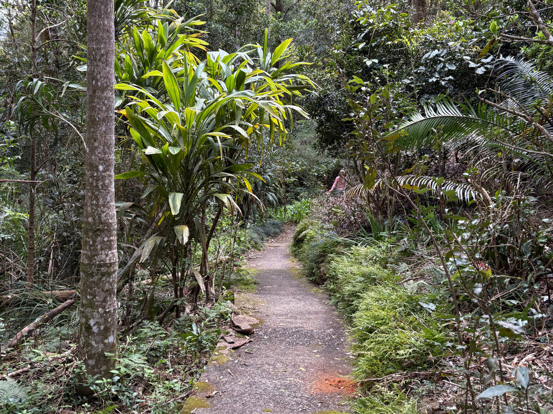 O'Reilly's Rainforest Retreat Day Experiences-莱明顿国家公园必去景点