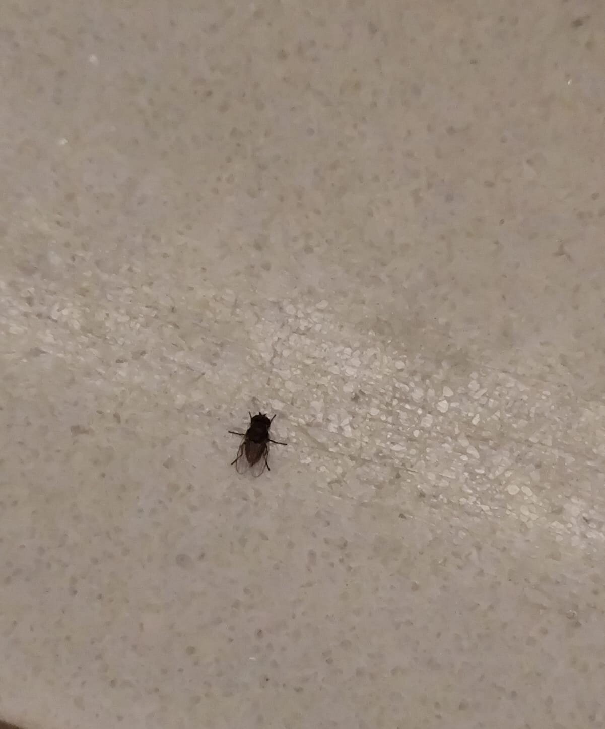 皮姆娜拉精品酒店-官方