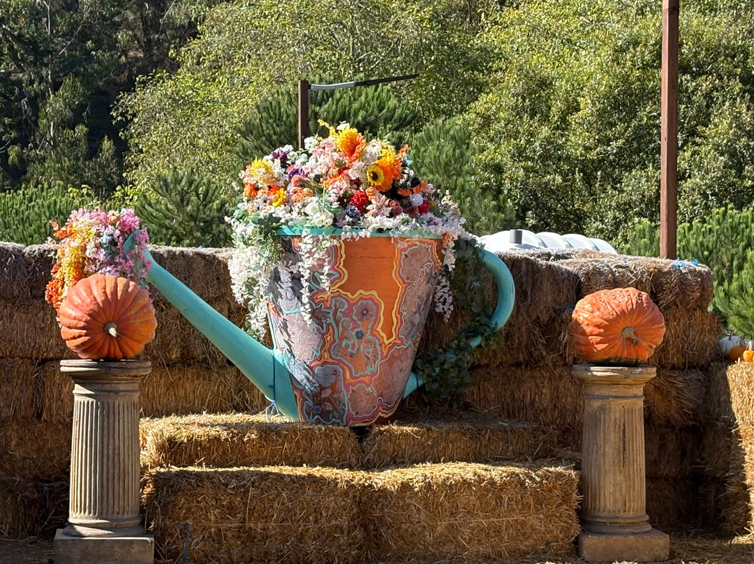 Arata Pumkin Farm-半月湾必去景点