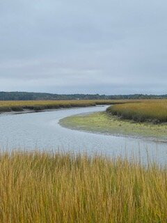 Scarboro Marshes-斯卡伯勒必去景点