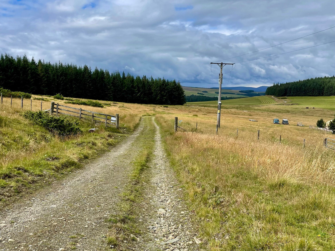 WanderLush Travels-Cottage Grove必去景点