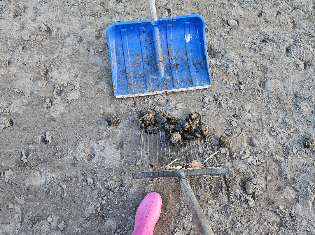 De Smulhoeve-卡特斯维尔必去景点