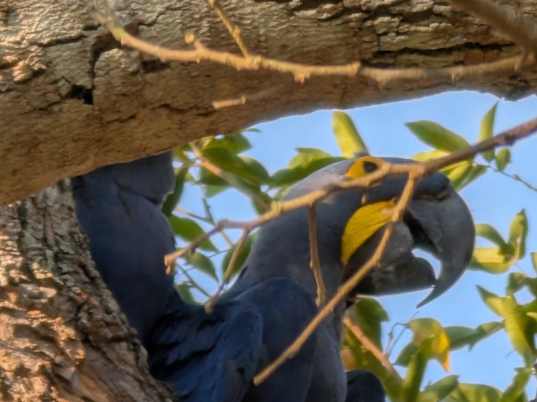 Ecoverde Tours-Cuiaba必去景点
