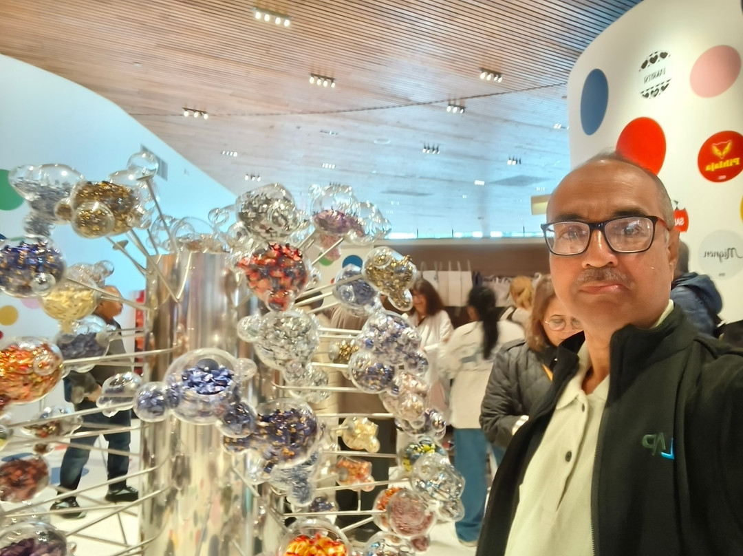 Fazer Experience Visitor Centre-万塔必去景点