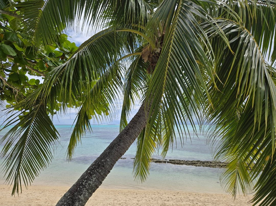 Moorea Island Beach主图
