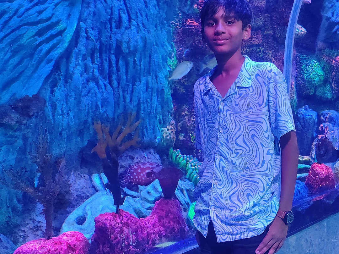 Aquarium Paradise-班加罗尔必去景点