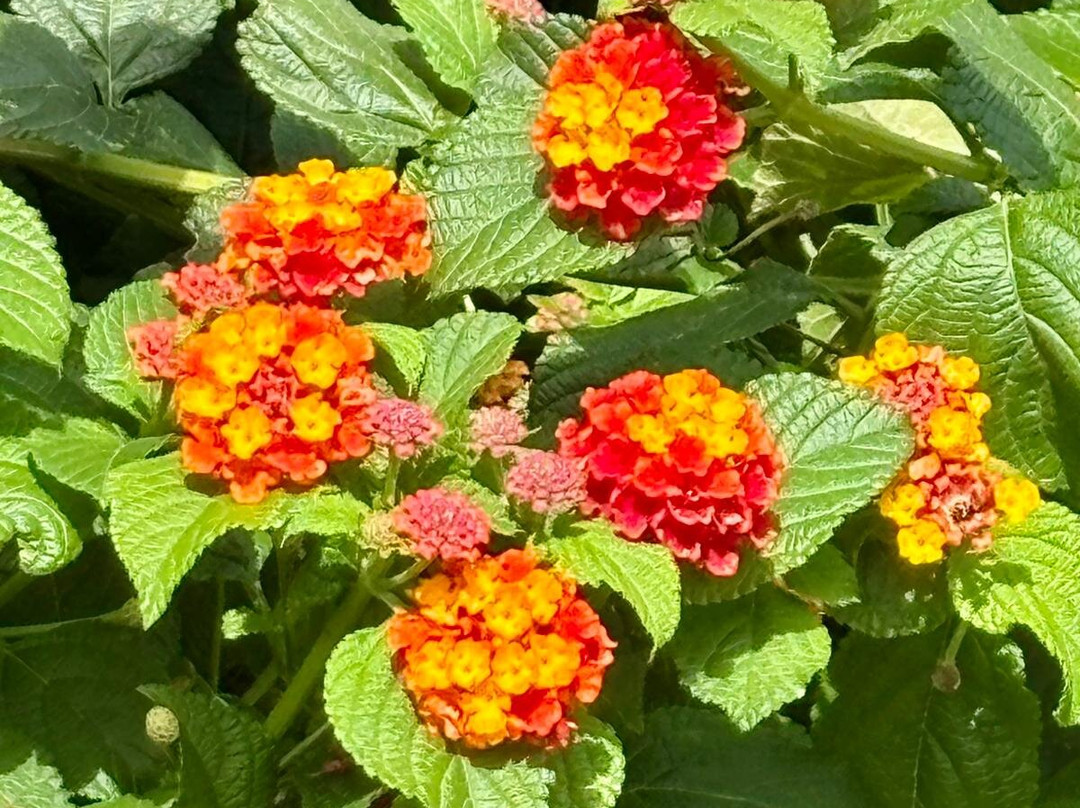 多米纳之家帕露巴尔萨酒店主图