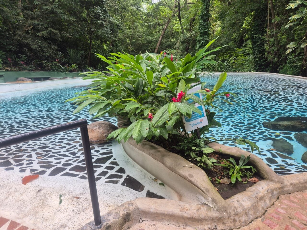 Brother's Adventures Tours-萨迪纳尔必去景点