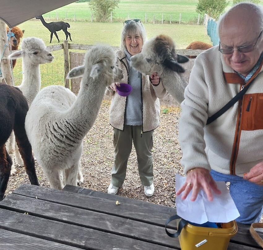 Lower Bush Alpacas-Cuxton必去景点