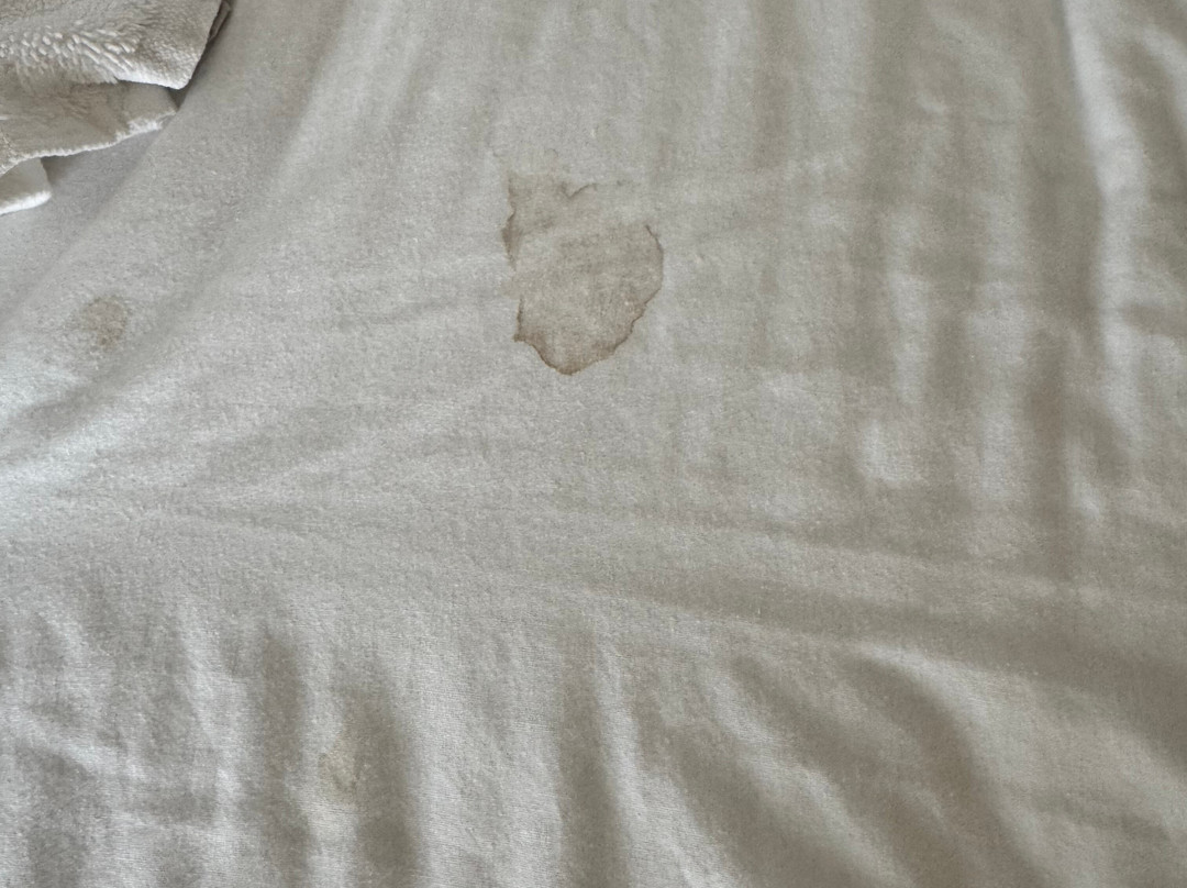 伯克利快捷假日酒店主图