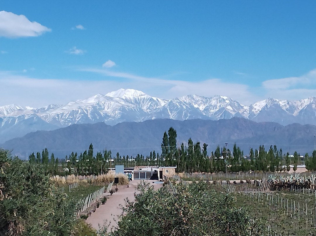 Bodega Cruzat. Bubbles Experience-路冉得库约必去景点