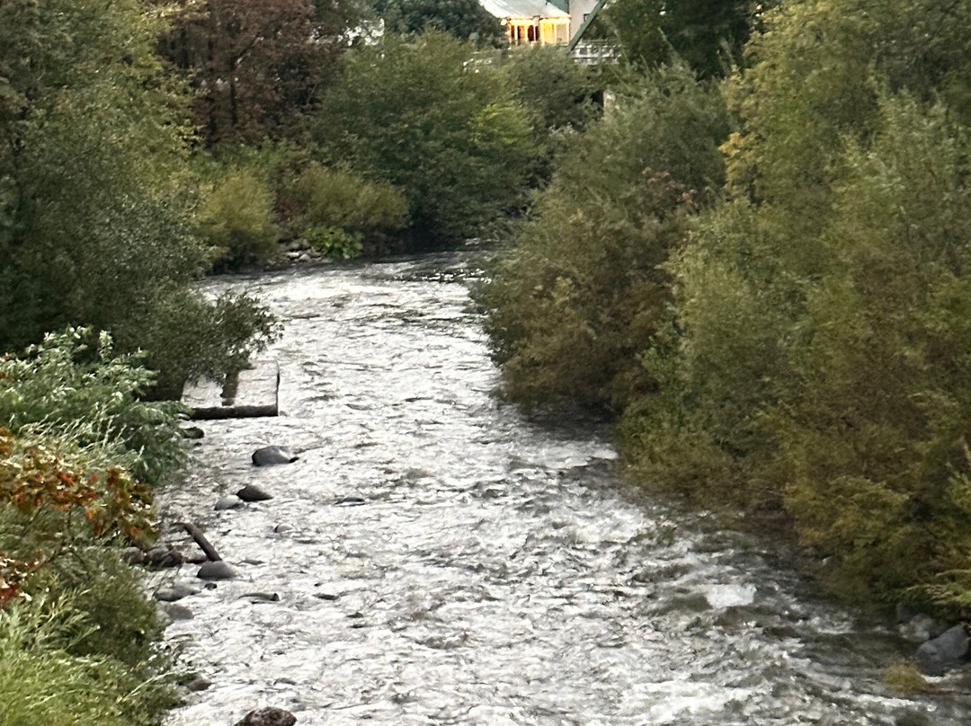 Riverside Mountain Lodge主图