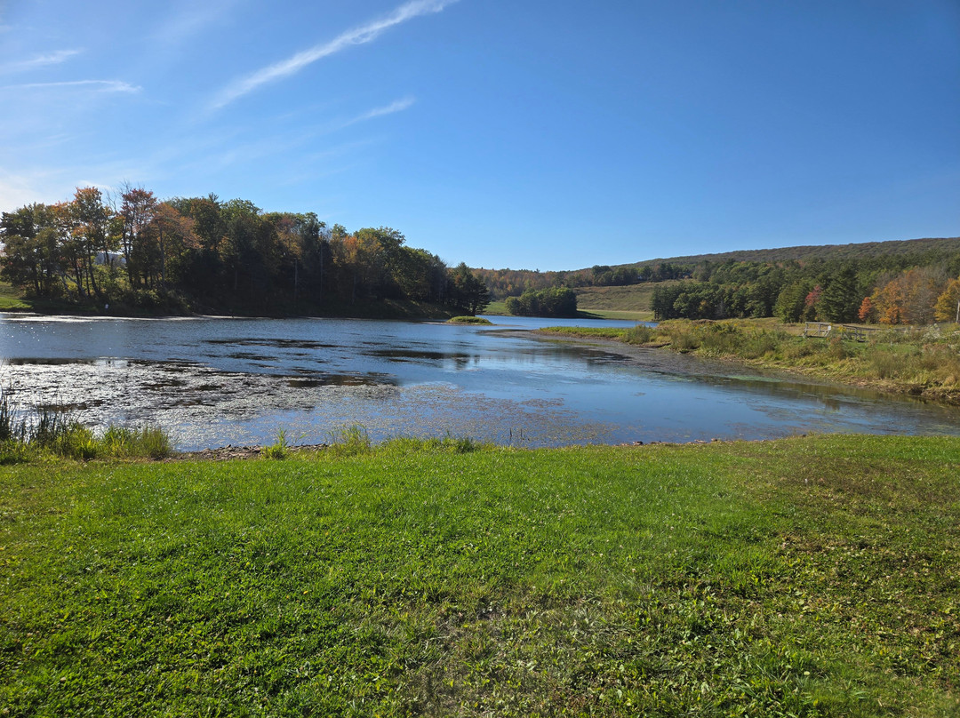 Mountain Treasure主图