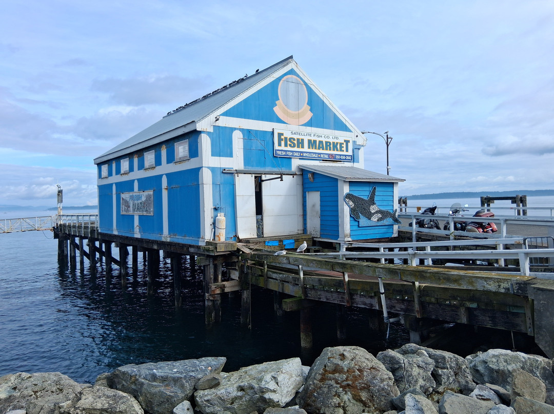 悉尼海滨酒店主图