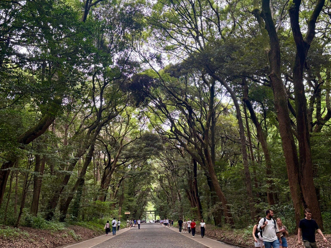 Meiji Shrine Imperial Garden-涩谷区必去景点