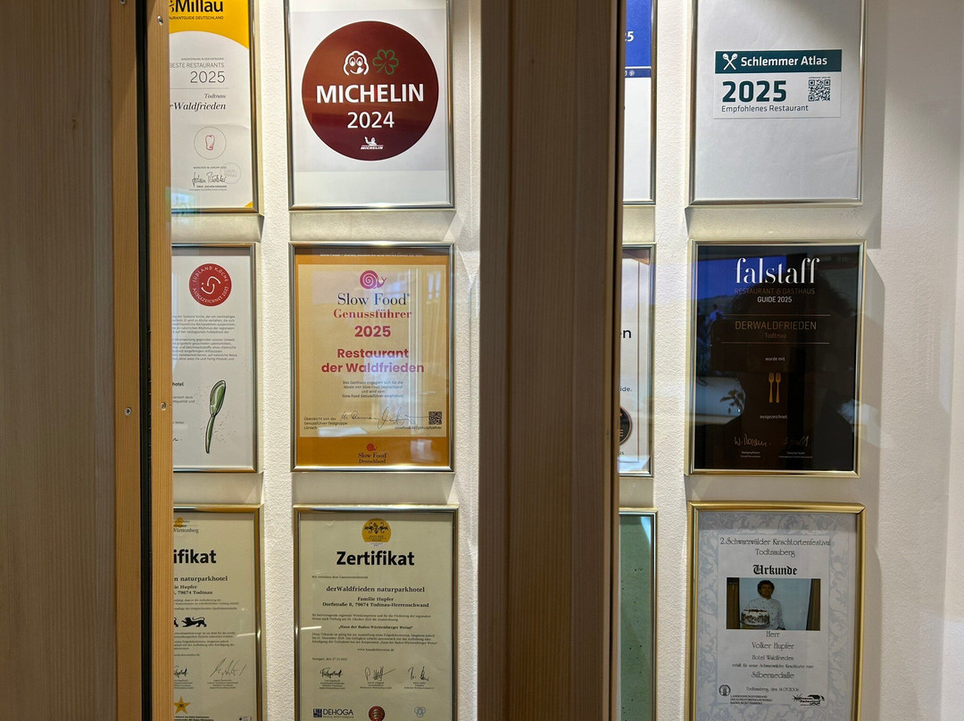 derWaldfrieden主图