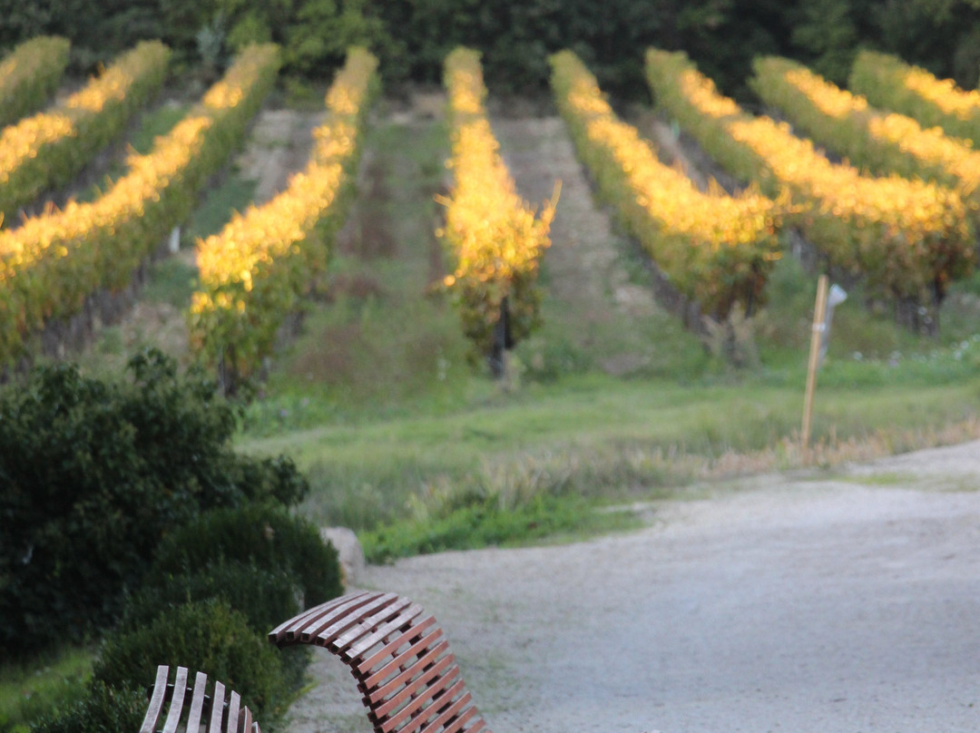 Domaine Des Lauribert-Visan必去景点
