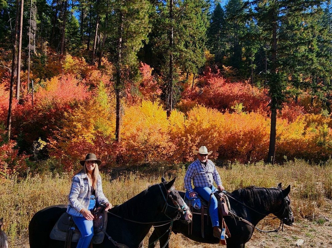 Wild At Heart Horse Rides-莱文沃思必去景点